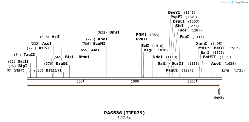 111408_map