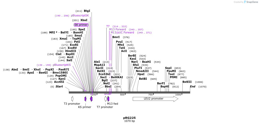 111409_map
