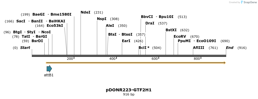 11141_map