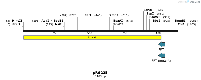 111410_map