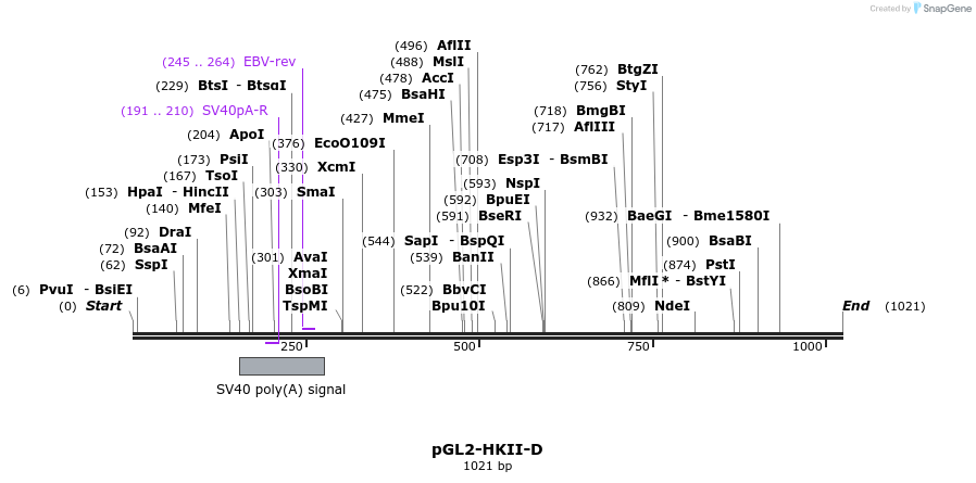 111413_map
