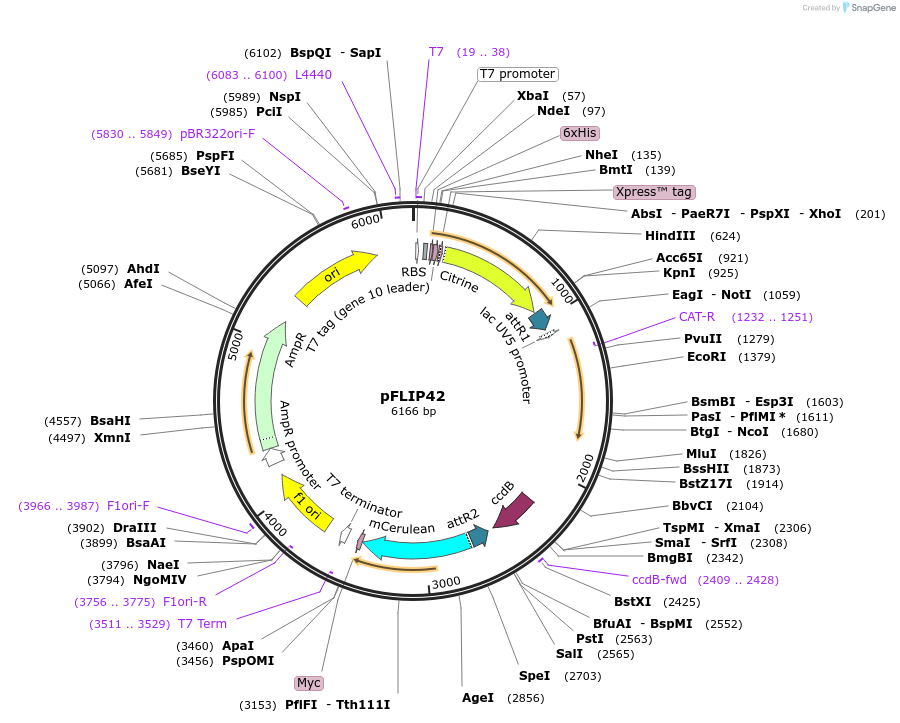111419_map