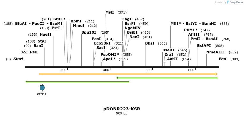 11143_map
