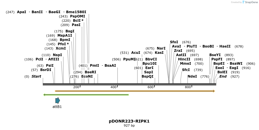 11144_map