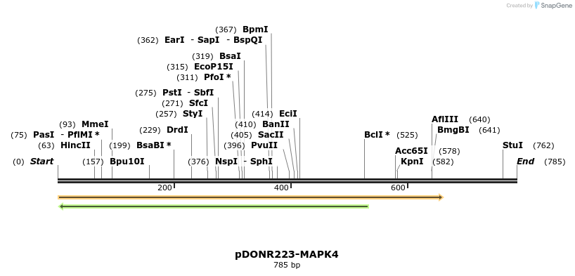 11145_map