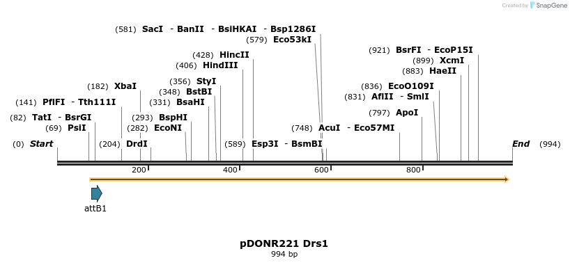 111453_map