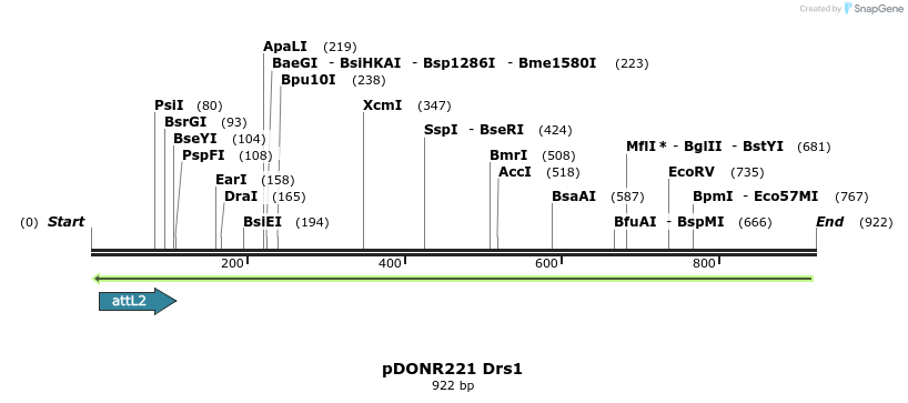 111454_map