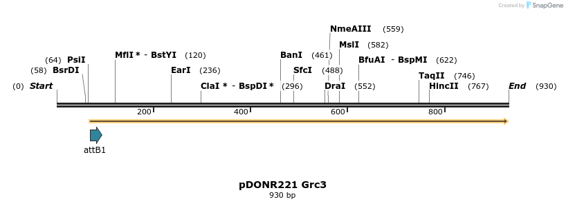 111456_map