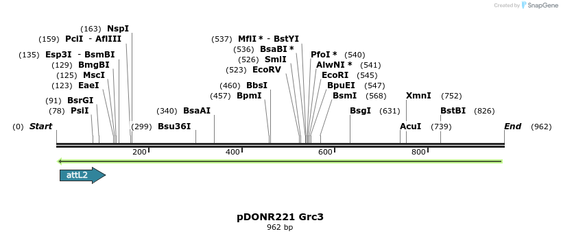 111457_map