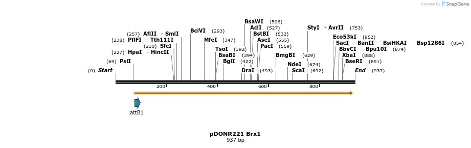 111459_map
