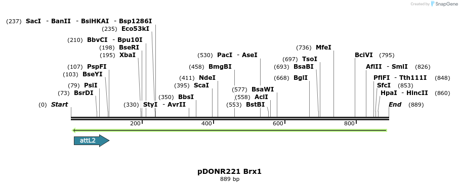 111461_map