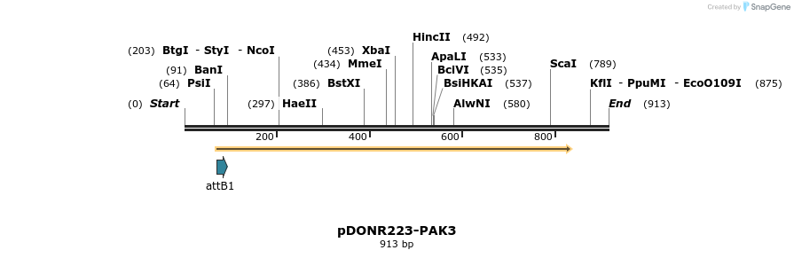 11147_map