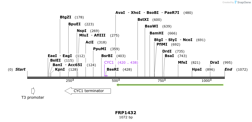 111473_map