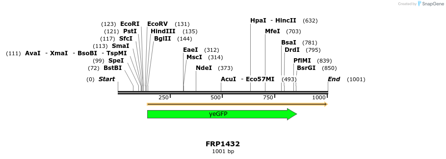 111474_map
