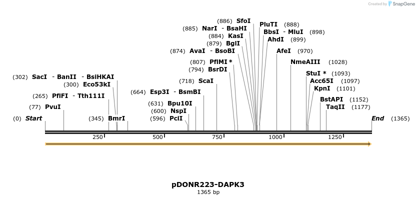11148_map