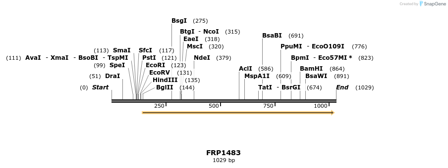 111481_map