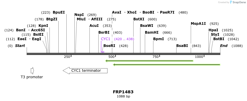 111482_map
