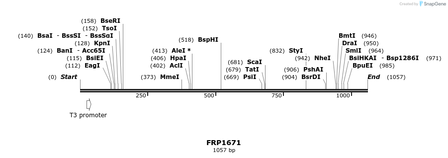 111484_map
