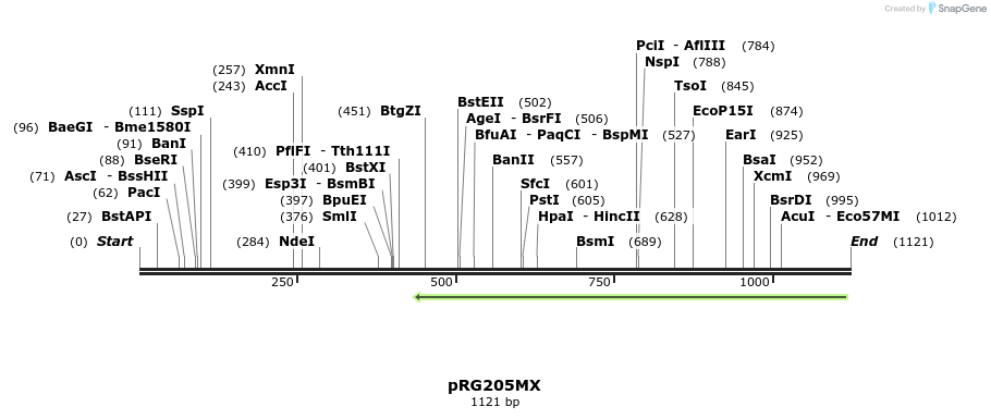 111485_map