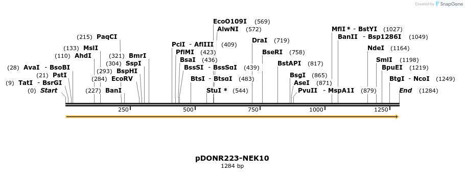 11149_map