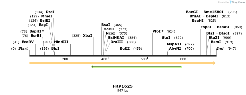 111494_map