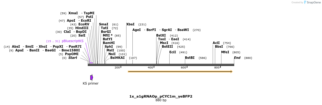 111498_map