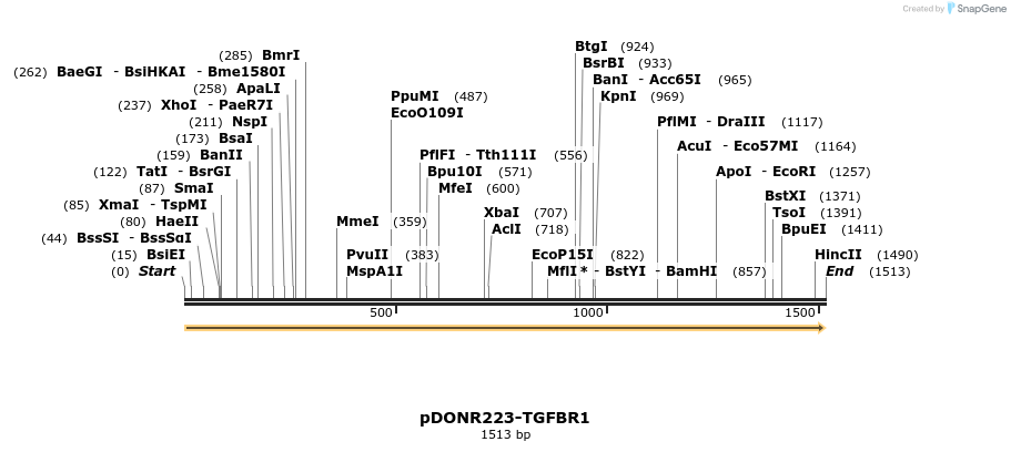 11150_map