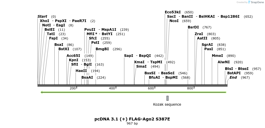 111501_map