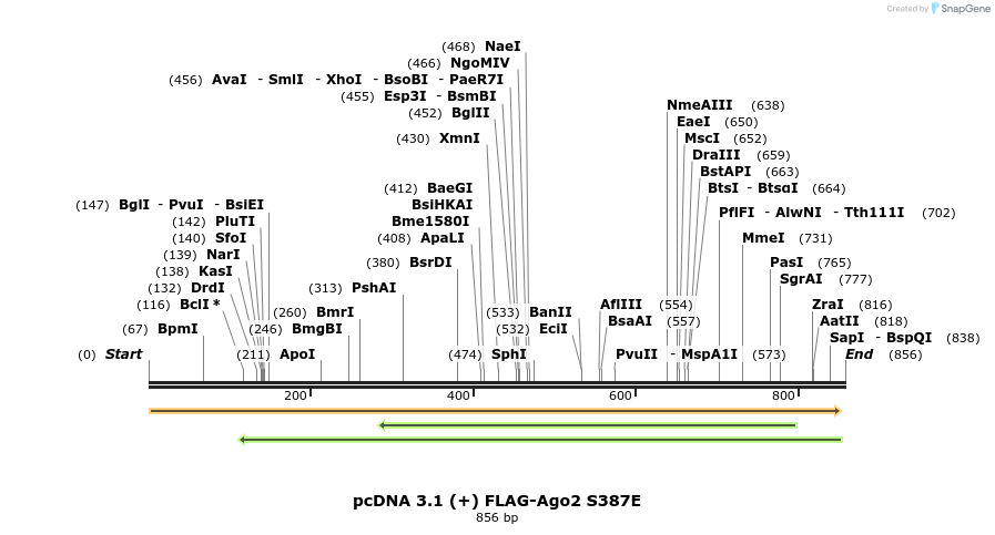 111506_map