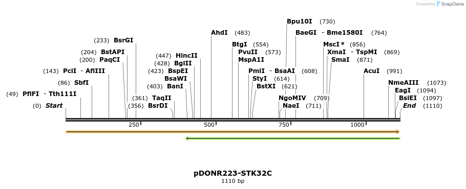 11151_map