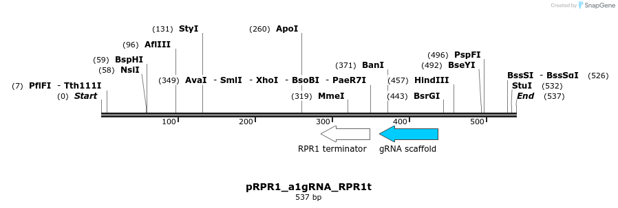 111513_map