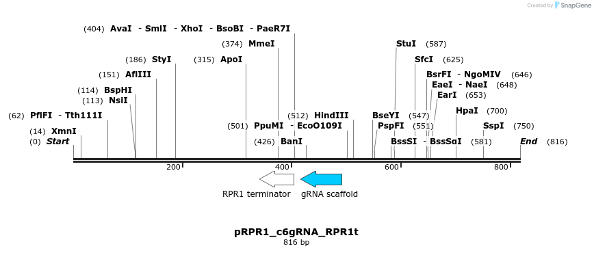111514_map