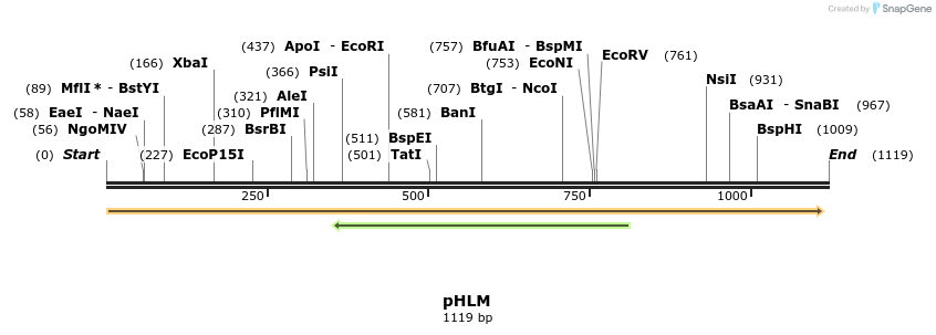 111519_map