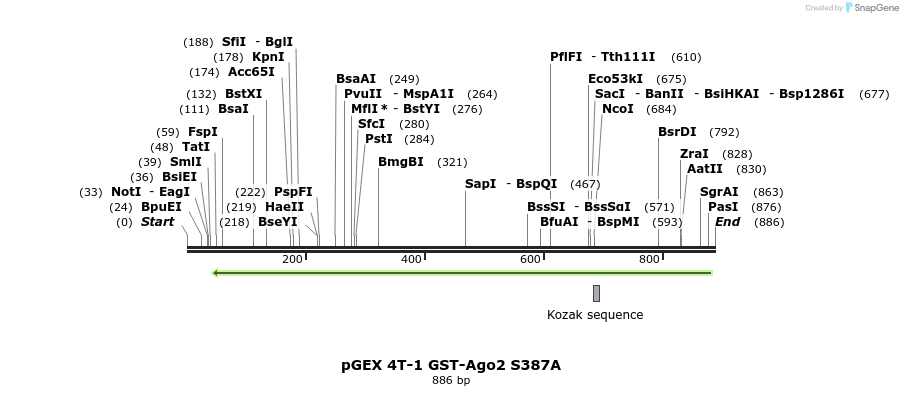 111532_map