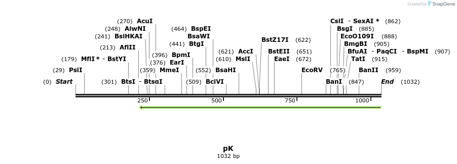 111536_map