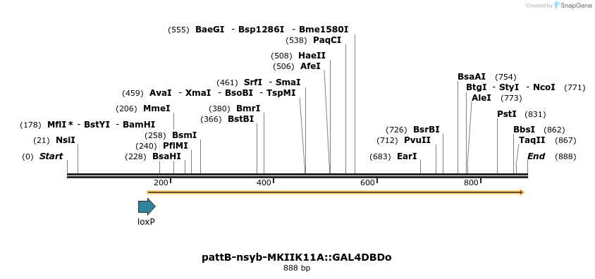 111546_map