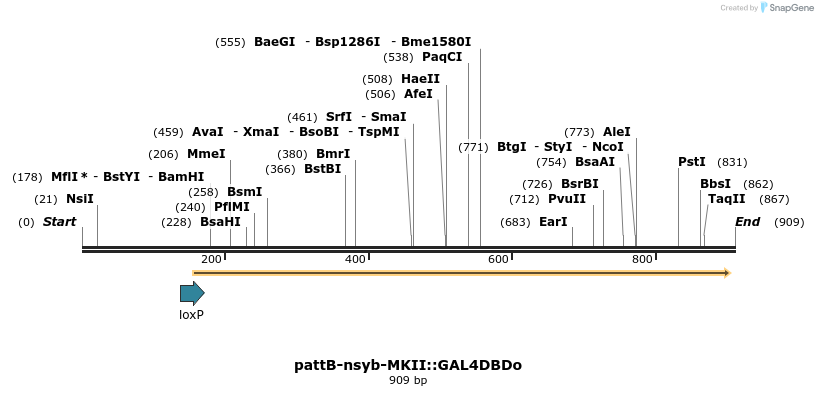 111549_map