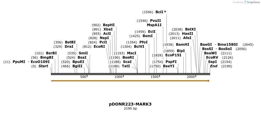 11155_map