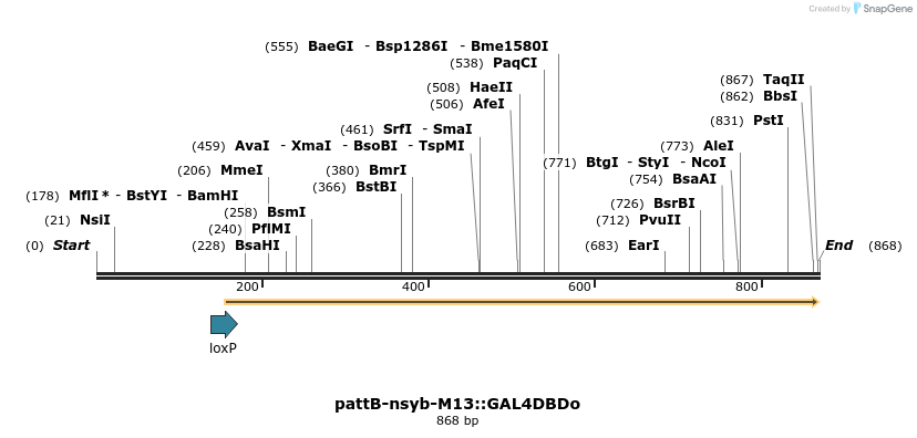 111552_map