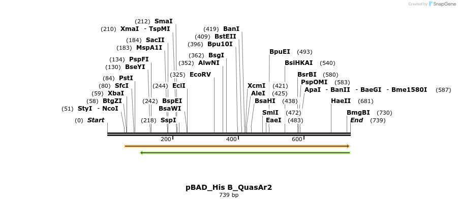 111555_map