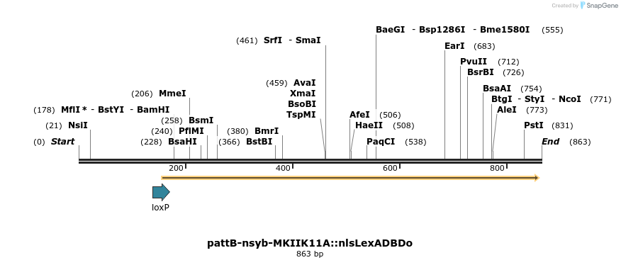 111557_map