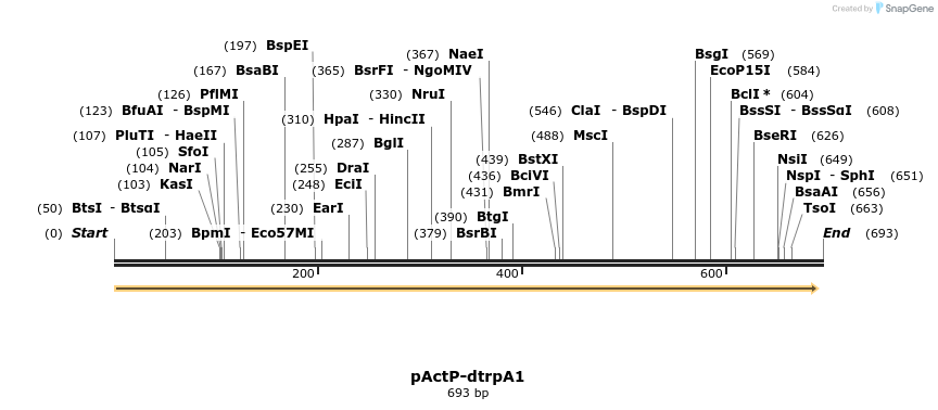111561_map
