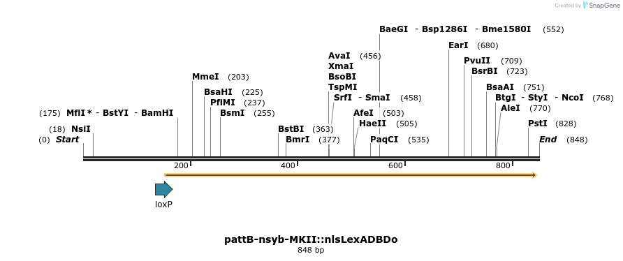111564_map