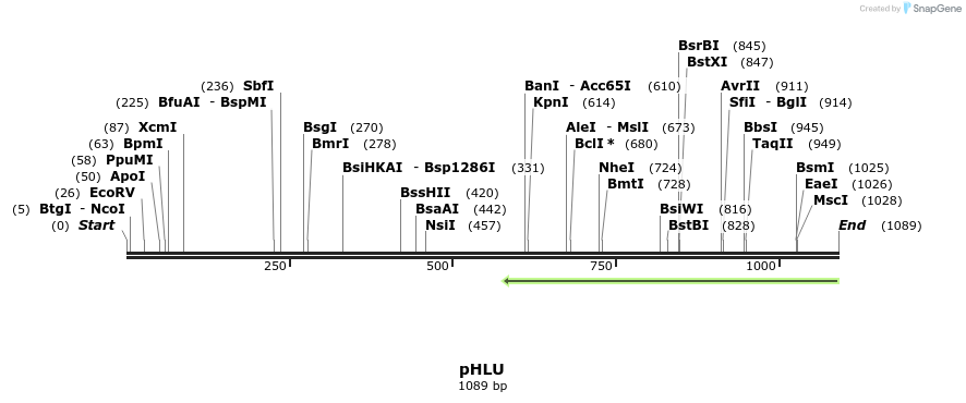 111565_map