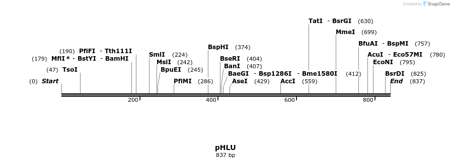 111568_map