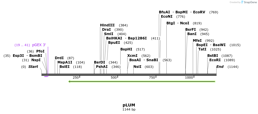 111577_map
