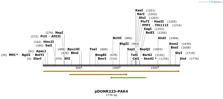 11158_map