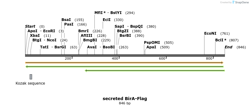 111581_map