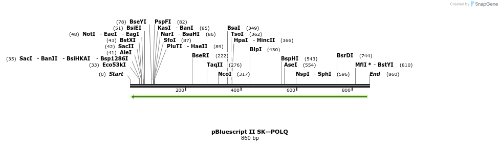 111589_map