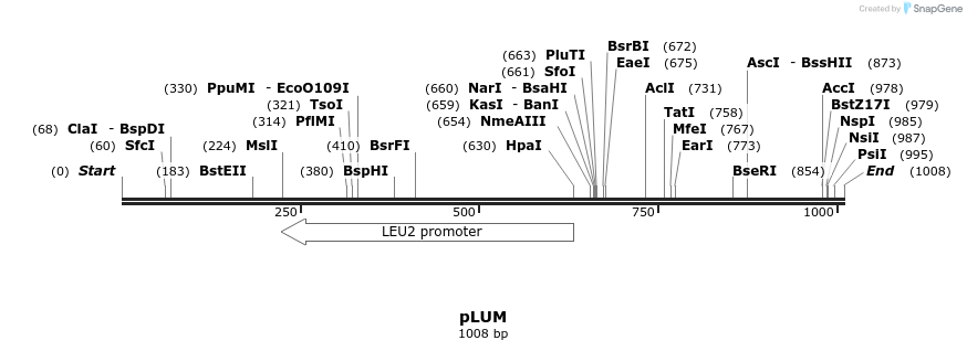 111591_map